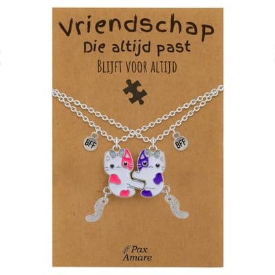 BFF Ketting voor 2 'Vriendschap die altijd past' - Magnetische Katjes - Vriendschapsketting op Cadeau Kaartje - 45cm + 5cm verstelbaar - Zilverkleurig - Best Friends Hanger - Pax Amare