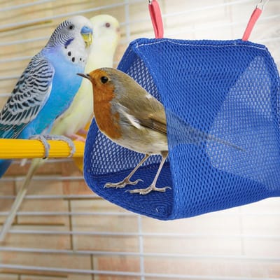 Zomer Ademend Mesh Huisdier Vogel Papegaai Nest Hangmat Bed Hamster Huis Kooi Speelgoed Blue