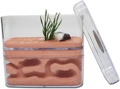 Mierenboerderij Gips - Mierenhabitat Villa - Insecten Observatie - Gescheiden Vocht Zones - 12x6x10 cm