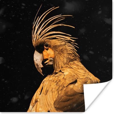 Poster Kaketoe - Goud - Zwart - 50x50 cm