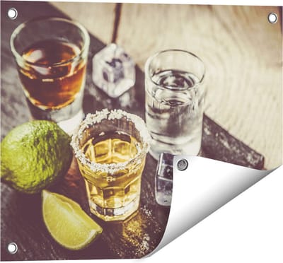 Gards Tuinposter Alcoholische Drankjes - Drank - 50x40 cm - Tuindoek - Tuindecoratie - Wanddecoratie buiten - Tuinschilderij