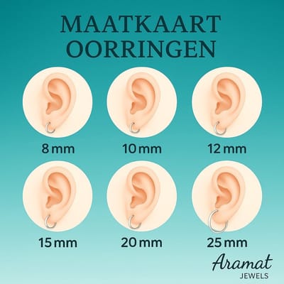Rvs sieraden - Oorringen -Goudkleurig RVS- zirkonia - Verkleurt niet