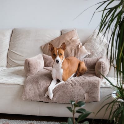 Hondendeken Bank - Hondenmand Bank - Hondendeken - Taupe - Maat S = 65 x 75 cm - Superzacht & Comfortabel S