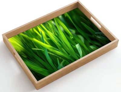 Dienblad hout 50x35 cm - Schootdienblad - Grassprieten - Lichtinval - Groen - Borrelplank rechthoek - Plateau dienbladen