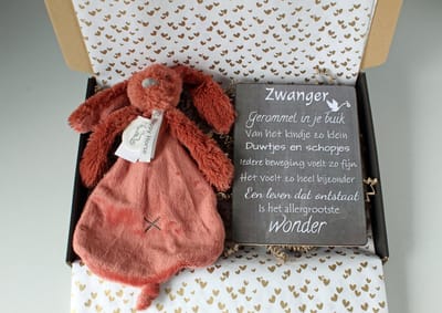 Brievenbus cadeau Rabbit Richie Rusty - cadeau zwangerschap - kraam cadeau - babyshower