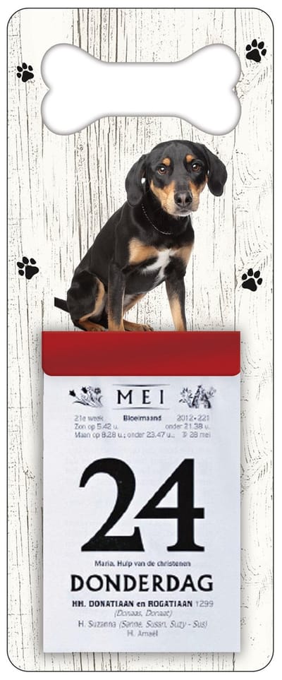 Scheurkalender 2027 Hond: Appenzeller Sennerhond