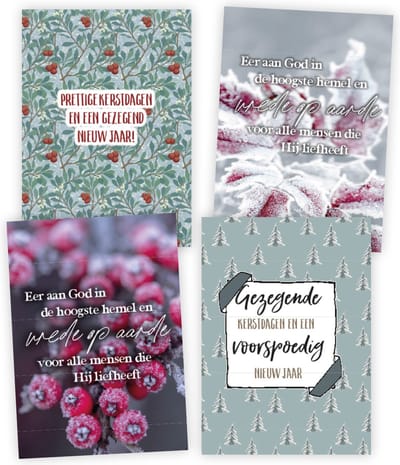 Voordeelpakje 12 kerstkaarten serie 6