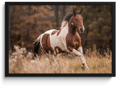 Poster in lijst - Fotolijst 60x40 cm - Posters - Paard - Bruin - Gras - Posterlijst zwart - Decoratie - Wanddecoratie woonkamer - Muurdecoratie slaapkamer