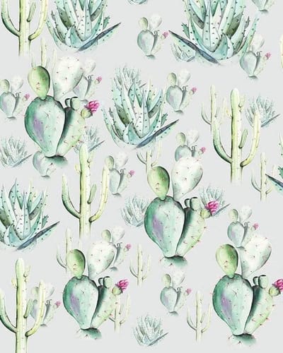 Fotobehang - Cactus Grey 200x250cm - Vliesbehang