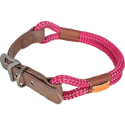 Verstelbare hondenhalsband Zolux Imao Hydepark 11mm