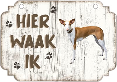 Hier Waak Ik: podenco | Waakbord | Spreukenbord | Hondenras | Hond | Betreden op eigen risico | Pas Op Voor De Hond | Deurbordjes | Bewaker Van Dit Huis