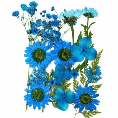 BOTC Natuurlijk Gedroogde Bloemen - Droogbloemen - Gedroogde Bloemen voor Resin DIY - 20 Stuks Natuurlijke Gedroogde Decoraties - Blauw