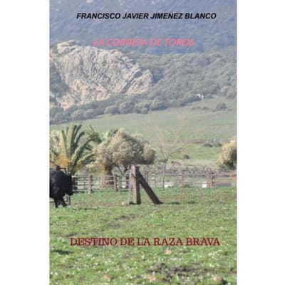 La Corrida De Toros - Francisco Javier JIMENEZ BLANCO