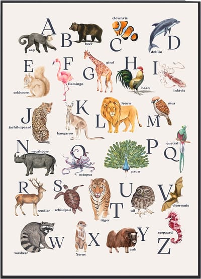 No Filter Dieren Alfabet Poster - 21x30 cm (A4 formaat) - Nederlands - Kinderkamer Educatief ABC - Dierenposter
