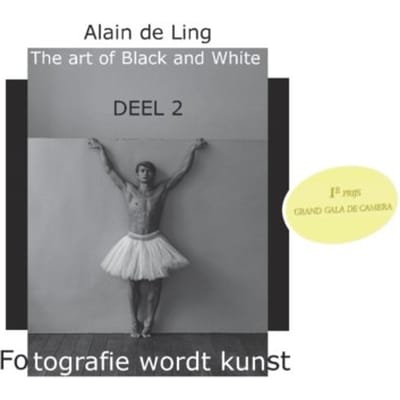 The Art Of Black And White / 2 - Alain De Ling