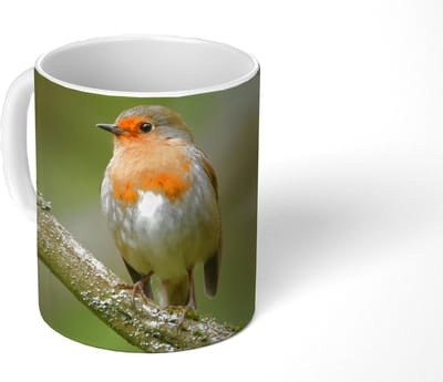 Mok - Koffiemok - Vogel - Roodborstje - Tak - Planten - Mokken - 350 ML - Beker - Koffiemokken - Theemok