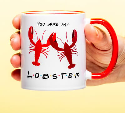 Ditverzinjeniet.nl Mok you are my lobster