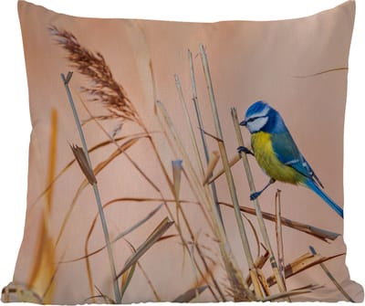 Tuinkussen - Vogel - Pimpelmees - Riet - 40x40 cm - Weerbestendig