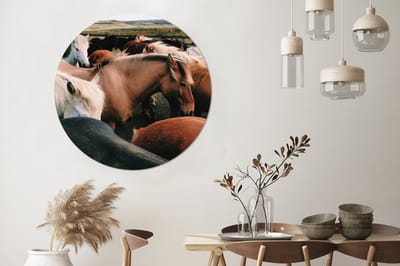 WallCircle - Wandcirkel - Muurcirkel - Paarden - Dieren - Wild - Aluminium - Dibond - 120x120 cm - Binnen en Buiten XXL