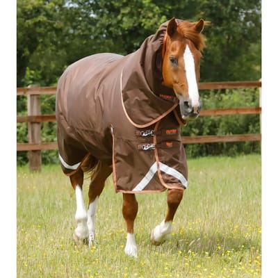 Outdoor paardendeken met halsbedekking Premier Equine Titan 300 g
