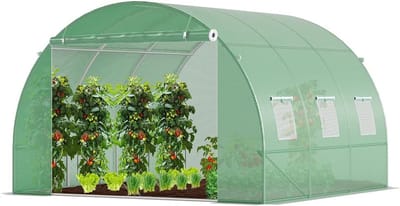 Famanu - Kas, foliekas, winterbestendig, tomatenkas, folietunnel, 3x3x2m 9m²