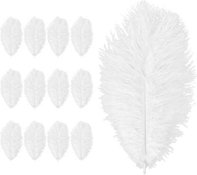 Natuurlijke Struisvogelveren 20-25 cm - 12 Stuks voor Creatieve DIY Projecten, Droomvangers, Bruiloft Decoratie en Kostuums