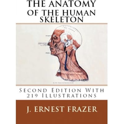 The Anatomy Of The Human Skeleton - J. Ernest Frazer