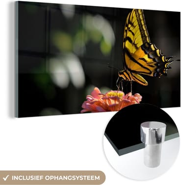 MuchoWow® Glasschilderij 40x20 cm - Schilderij acrylglas - Vlinder - Botanisch - Bloem - Foto op glas - Schilderijen