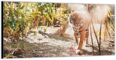 KuijsFotoprint - Schilderij - Tijger - Groen En Oranje - 100 X 200 Cm