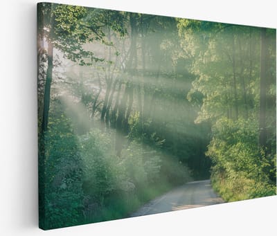 Saammp Muurcirkel Hout - Leeuw olieverf - Abstract - Ø 90 - Wandcirkel - Wanddecoratie Cirkel - Muurdecoratie Kinderkamer - Slaapkamer decoratie - Rond Schilderij