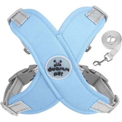 Ensemble Harnais et Laisse pour Chien X Sangle de Poitrine Respirante pour Animal de Compagnie Gilet Harnais Réfléchissant pour Bouledogue Français Pour Chiens de Petite et Moyenne Taille Collier pour Chiots (SKY BLUE,S (Pet 4-7kg)) bleu ciel