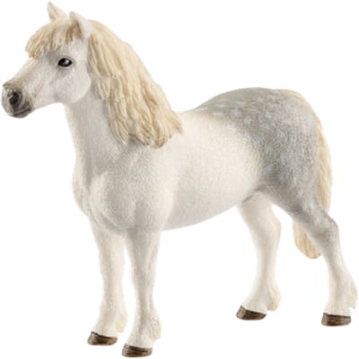 schleich FARM WORLD - Welsh Pony Hengst - Speelfiguur - Kinderspeelgoed voor Jongens en Meisjes - 3 tot 8 jaar - 13871