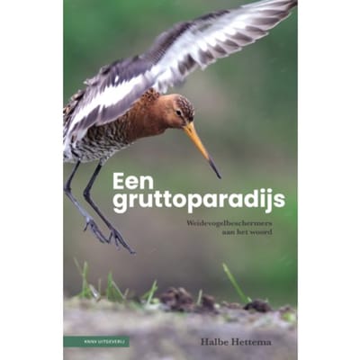 Een Gruttoparadijs - Halbe Hettema