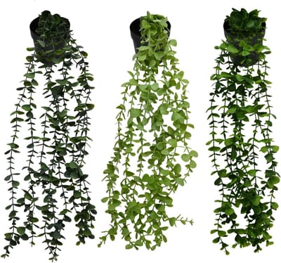 Dailygoods - Kunstplanten, hangende kunstplant met pot, hangende eucalyptus-wijnstokken voor binnen, voor huis, slaapkamer, muur, plank, binnen en buiten, decoratie