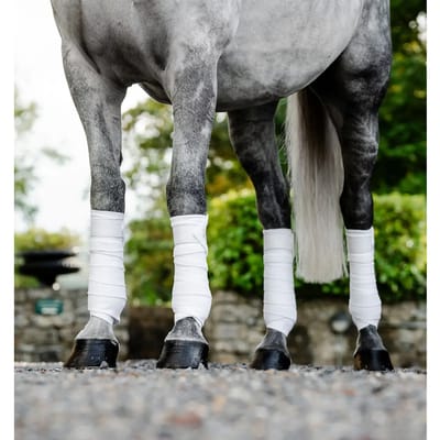 Paardenpolobanden Horseware