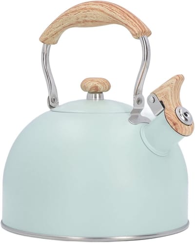 Waterkoker Fluitketel - Theepot Koken - Water Koken - Grote Capaciteit - 2.5 Liter - Groen