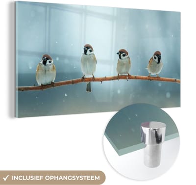 MuchoWow® Glasschilderij 40x20 cm - Schilderij acrylglas - Vogels - Mus - Sneeuw - Winter - Foto op glas - Schilderijen