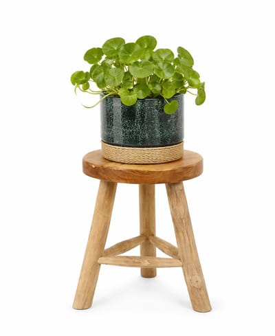 Van der Leeden Plantenpot verhoger tafeltje - D30 x H44 cm - naturel kleur - hout - klassiek decoratief