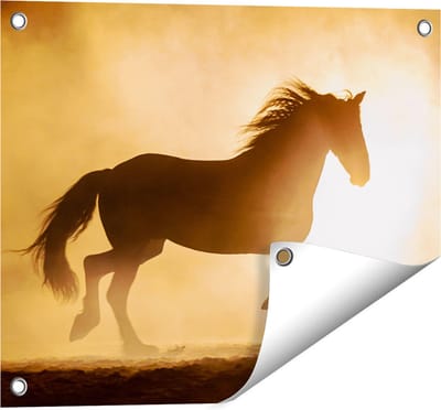 Gards Tuinposter Silhouet van een Paard - 50x40 cm - Tuindoek - Tuindecoratie - Wanddecoratie buiten - Tuinschilderij