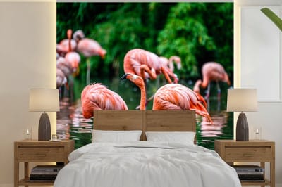 Behang - Fotobehang Flamingo - Tropisch - Vogel - Water - Roze - Breedte 280 cm x hoogte 280 cm