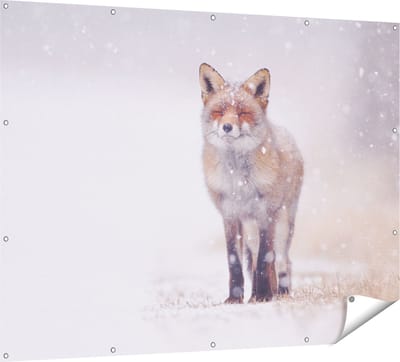 Gards Tuinposter Vos in de Sneeuw - 160x120 cm - Tuindoek - Tuindecoratie - Wanddecoratie buiten - Tuinschilderij