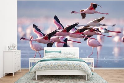 Behang - Fotobehang Flamingo - Vogel - Water - Roze - Breedte 375 cm x hoogte 280 cm