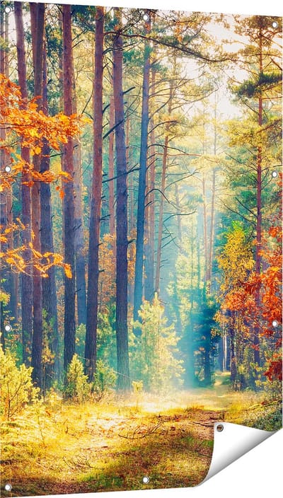Gards Tuinposter Herfstbos met Zonneschijn - Kleur - 80x120 cm - Tuindoek - Tuindecoratie - Wanddecoratie buiten - Tuinschilderij