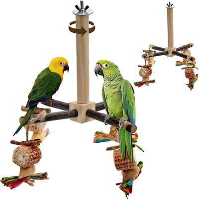 1 Pack 360掳 Roterende Papegaai Pootsteun Speelgoed met Beet Speelgoed, Natuurlijk Houten Pootsteun Stand, Vogelkooi Accessoire met Oefenwiel voor Kleine & Middelgrote Vogels Zoals Papegaai Vinken Muscicapidae 23x26cm