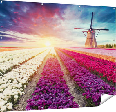Gards Tuinposter Kleurrijke Tulpen Bloemenveld - Windmolen - 150x120 cm - Tuindoek - Tuindecoratie - Wanddecoratie buiten - Tuinschilderij