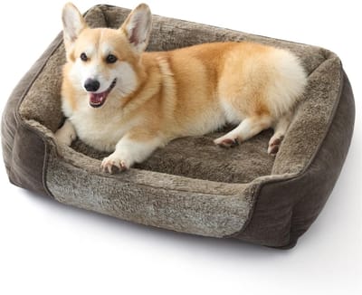 Famanu – Hondenbed Medium Wasbaar - 76x61x15cm Hondenbankbedden met antislipbodem - afneembare wasbare hoes - zacht groot kattenbed - rechthoekig