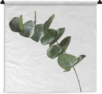 Wandkleed Eucalyptus - Groene eucalyptus bladeren op witte achtergrond Wandkleed katoen 120x120 cm - Wandtapijt met foto