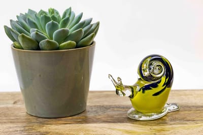 Glazen Slak Geel met Kleur L12 cm