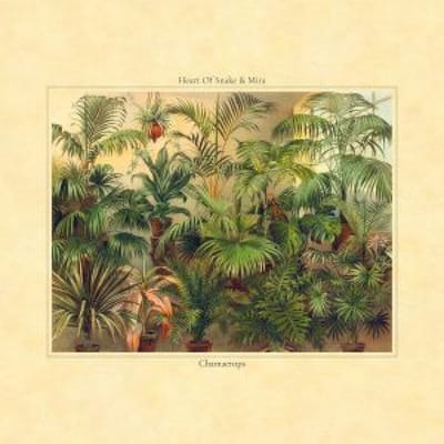 Heart Of Snake & Mira - Chamaerops (LP)