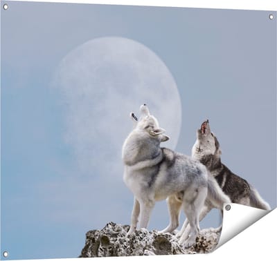 Gards Tuinposter Twee Wolven Die Huilen tijdens Volle Maan - 100x80 cm - Tuindoek - Tuindecoratie - Wanddecoratie buiten - Tuinschilderij